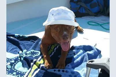 9015 Anita Avenue, Englewood, FL 34224 - Photo 61