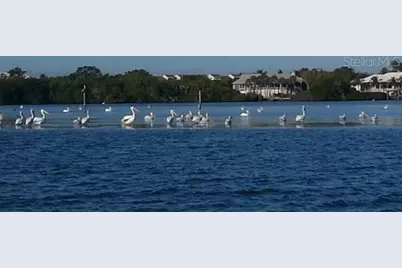 9015 Anita Avenue, Englewood, FL 34224 - Photo 55