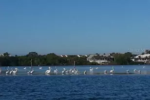 9015 Anita Ave, Englewood, FL 34224 - Photo 55