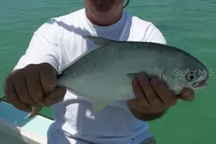 9015 Anita Ave, Englewood, FL 34224 - Photo 49