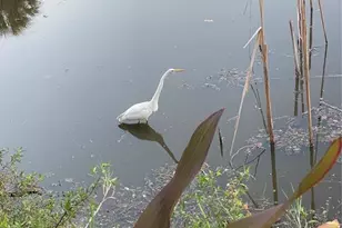 1691 Lakeview Pl, Englewood, FL 34223 - Photo 53