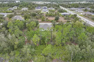 9186 Arberg St, Port Charlotte, FL 33981 - Photo 41