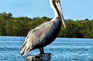 9712 Little Gasparilla Island, Placida, FL 33946 - Photo 53