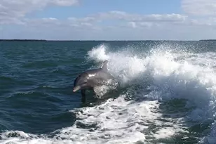 9712 Little Gasparilla Island, Placida, FL 33946 - Photo 55