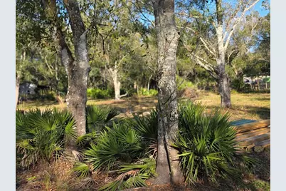 4816 SE Wheat Avenue, Arcadia, FL 34266 - Photo 9