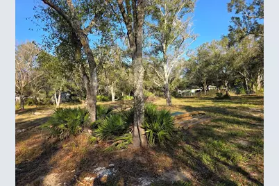 4816 SE Wheat Avenue, Arcadia, FL 34266 - Photo 15