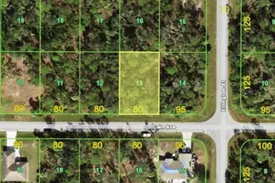 14180 Cain Ave, Port Charlotte, FL 33953 - Photo 1