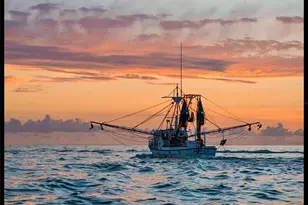 9334 Little Gasparilla Island, Placida, FL 33946 - Photo 55