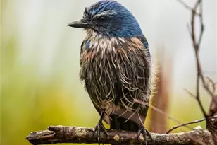 5 Aye Ct, Placida, FL 33946 - Photo 75