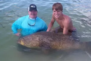 1735 Loralin Dr, Englewood, FL 34223 - Photo 35