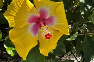 1735 Loralin Dr, Englewood, FL 34223 - Photo 39