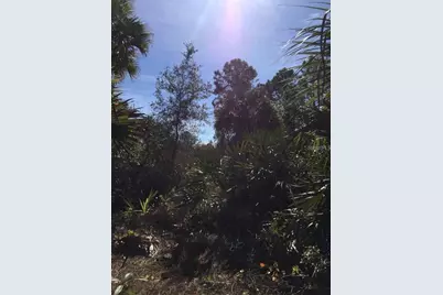 14415 Maddock Avenue, Port Charlotte, FL 33953 - Photo 3