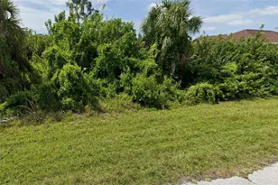 10487 Woodland Ave, Englewood, FL 34224 - Photo 1