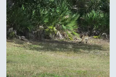 2212 Wakefield Street, Port Charlotte, FL 33948 - Photo 3