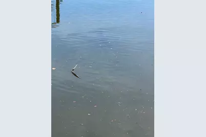 5258 Johnson Terrace, Port Charlotte, FL 33981 - Photo 19