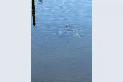 5258 Johnson Terrace, Port Charlotte, FL 33981 - Photo 17