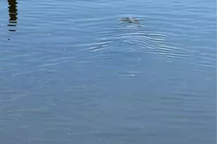 5258 Johnson Terrace, Port Charlotte, FL 33981 - Photo 17