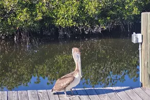 4410 Warren Ave, Port Charlotte, FL 33953 - Photo 31