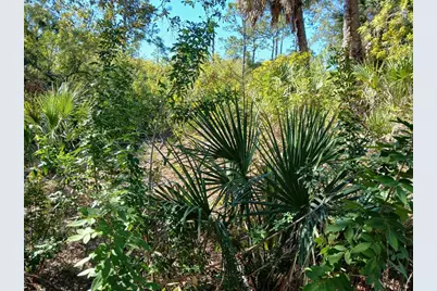 13493 Markham Avenue, Port Charlotte, FL 33953 - Photo 9