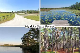 5084 White Ave, Port Charlotte, FL 33981 - Photo 35