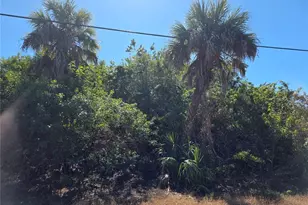 698 Lomond Dr, Port Charlotte, FL 33953 - Photo 1