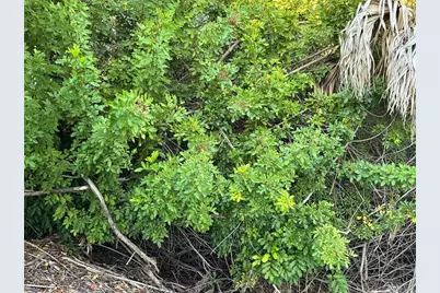 7538 Rosemont Drive, Englewood, FL 34224 - Photo 11