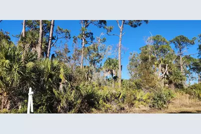 12006 Coleman Avenue, Port Charlotte, FL 33981 - Photo 7