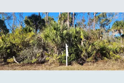 12006 Coleman Avenue, Port Charlotte, FL 33981 - Photo 9