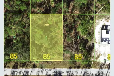 17114 Arthur Avenue, Port Charlotte, FL 33948 - Photo 1