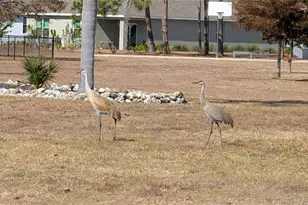 16153 Alcira Cir, Punta Gorda, FL 33955 - Photo 39