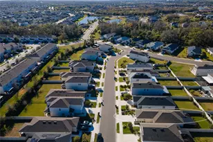 6236 Springmont Loop, Palmetto, FL 34221 - Photo 41