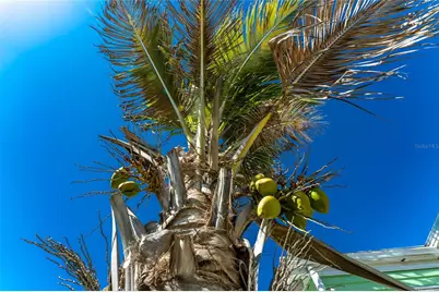 1475 Flamingo Drive #333, Englewood, FL 34224 - Photo 33