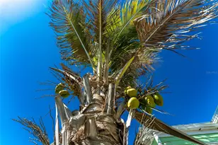 1475 Flamingo Dr, Englewood, FL 34224 - Photo 33