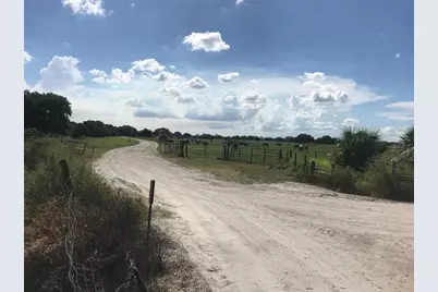 313 Gator Alley, Lake Wales, FL 33898 - Photo 9