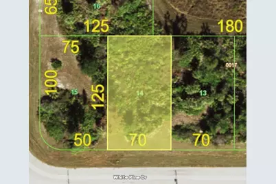 155 White Pine Drive, Rotonda West, FL 33947 - Photo 1