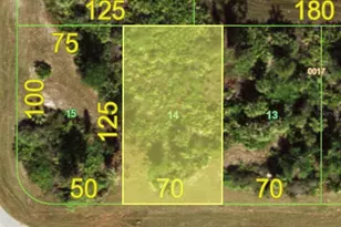 155 White Pine Dr, Rotonda West, FL 33947 - Photo 1