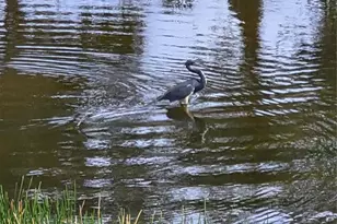 14016 Willow Glen Ct, Port Charlotte, FL 33953 - Photo 71