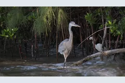 7500 Park Pointe Drive #52, Englewood, FL 34224 - Photo 29