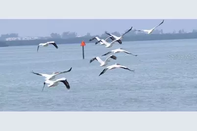 7500 Park Pointe Drive #52, Englewood, FL 34224 - Photo 21