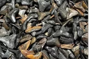 15260 Leipzig Cir, Port Charlotte, FL 33981 - Photo 81