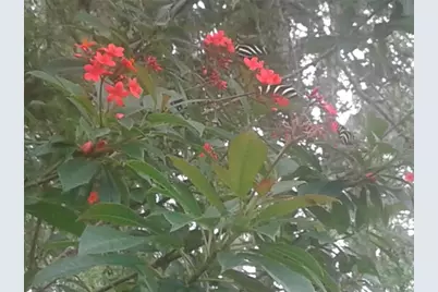 Kacher Road, North Port, FL 34288 - Photo 5