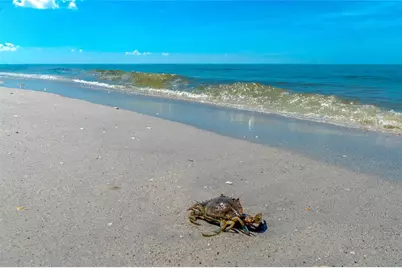 6115 Shearwater Drive, Englewood, FL 34224 - Photo 53