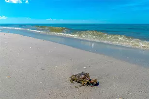 6115 Shearwater Dr, Englewood, FL 34224 - Photo 53