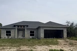 314 Barrett St, Port Charlotte, FL 33954 - Photo 3