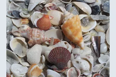 131 S Gulf Boulevard, Placida, FL 33946 - Photo 55