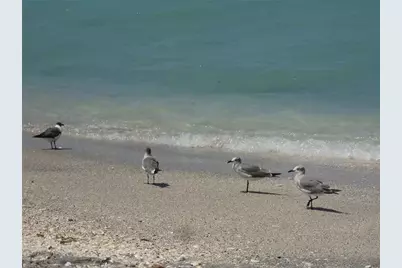 [Address not provided], Port Charlotte, FL 33981 - Photo 9