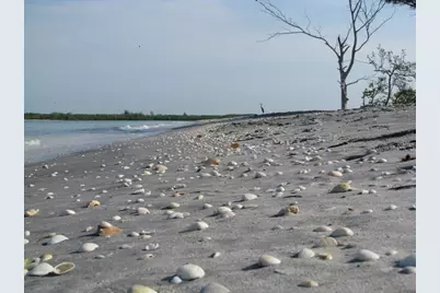 [Address not provided], Port Charlotte, FL 33981 - Photo 15