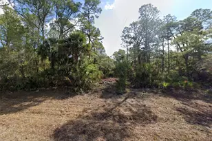 1170 Mallet Ln, Port Charlotte, FL 33953 - Photo 1