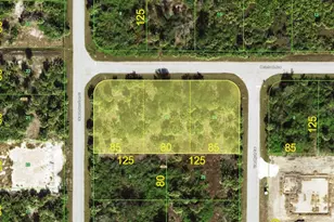 10431 Van Wyck Terrace, Port Charlotte, FL 33981 - Photo 1