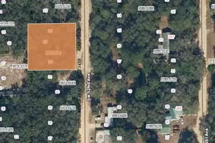 52nd Ave, Interlachen, FL 32148 - Photo 1
